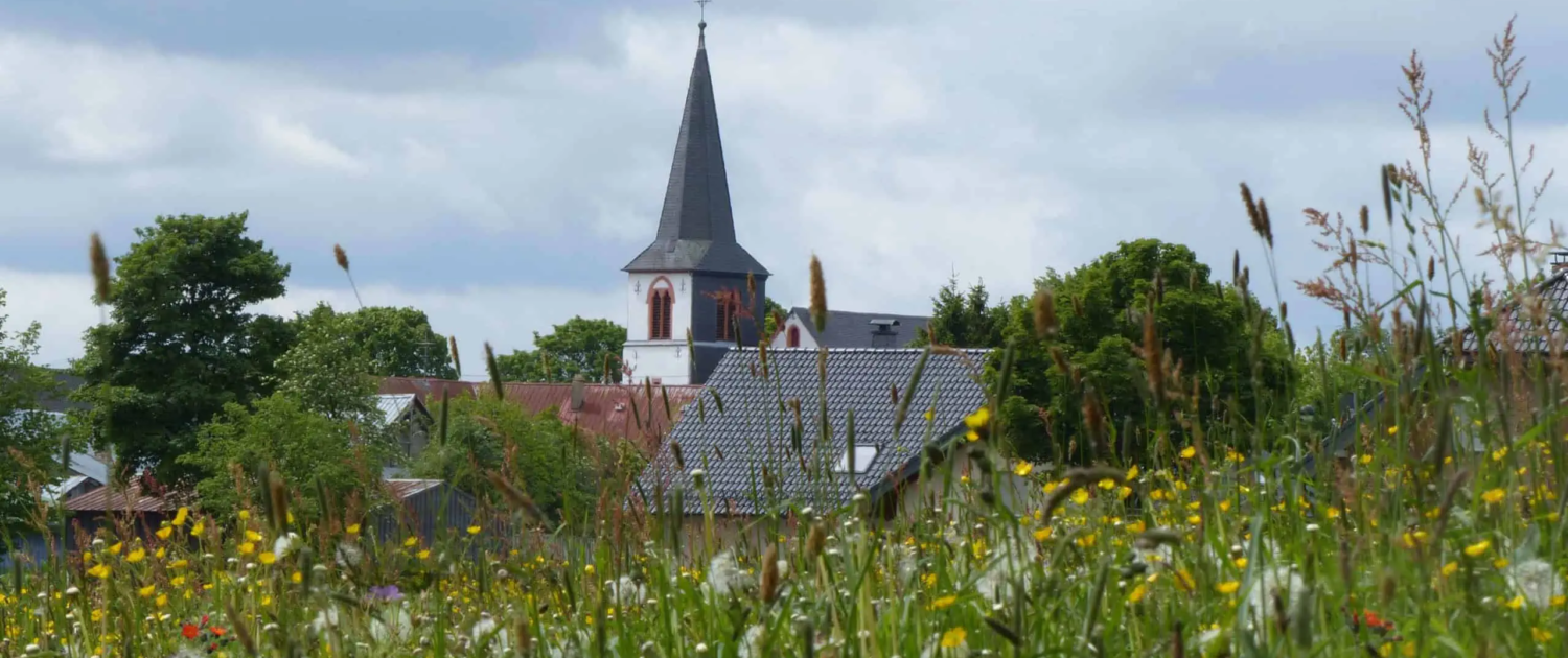 Blumenwiese-Slider-scaled